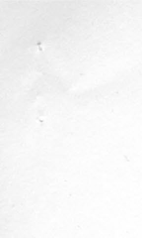 Analys av. - 2 - Något skäl för en nämnvärd ökning av antalet remisser som bör behandlas synes inte föreligga.