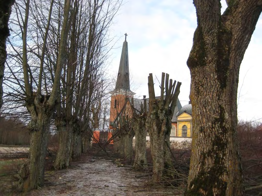 Figur 14. Halva kyrkoallén har beskurits.