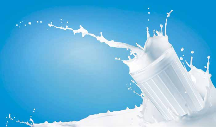 - högklassig mjölknäring -mjölknäring: Kalvens första foder: Fördelen med mjölknäring är att den har jämnt hög kvalitet under hela året, både i fråga om näring och hygien.