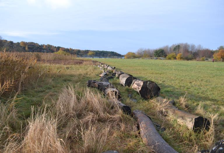 Sjöbacka Sjöbacka ligger vid en stor öppen äng intill havet strax norr om Önnereds fiskhamn. Området är en gammal utfyllnadsplats för rivningsrester och annat vid en plats som tidigare var en havsvik.