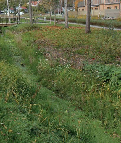 tillföras den urbana miljön. Dagvattenlösningens utformning bör fungera gestaltningsmässigt bra ihop med den övriga miljön.