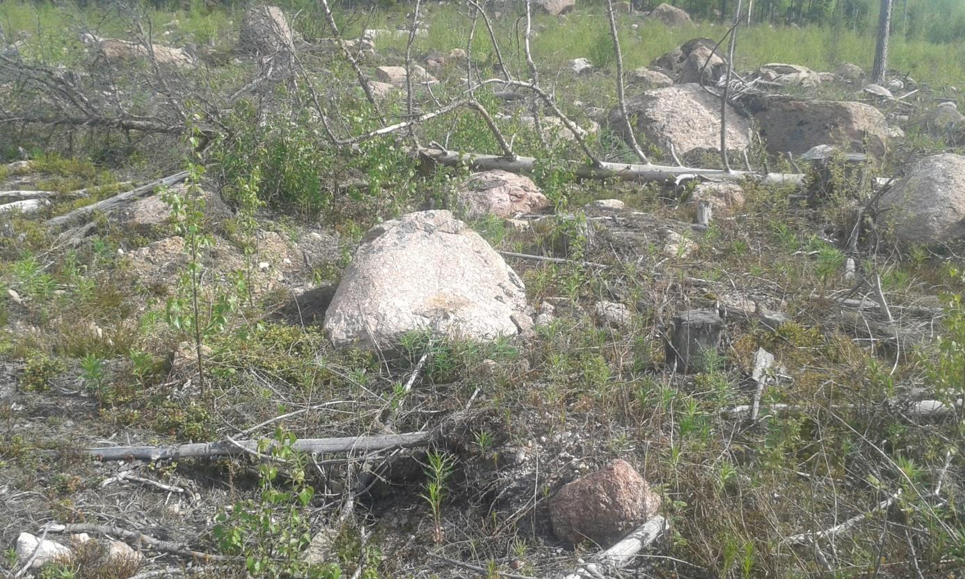 (Lindqvist) Bild 16