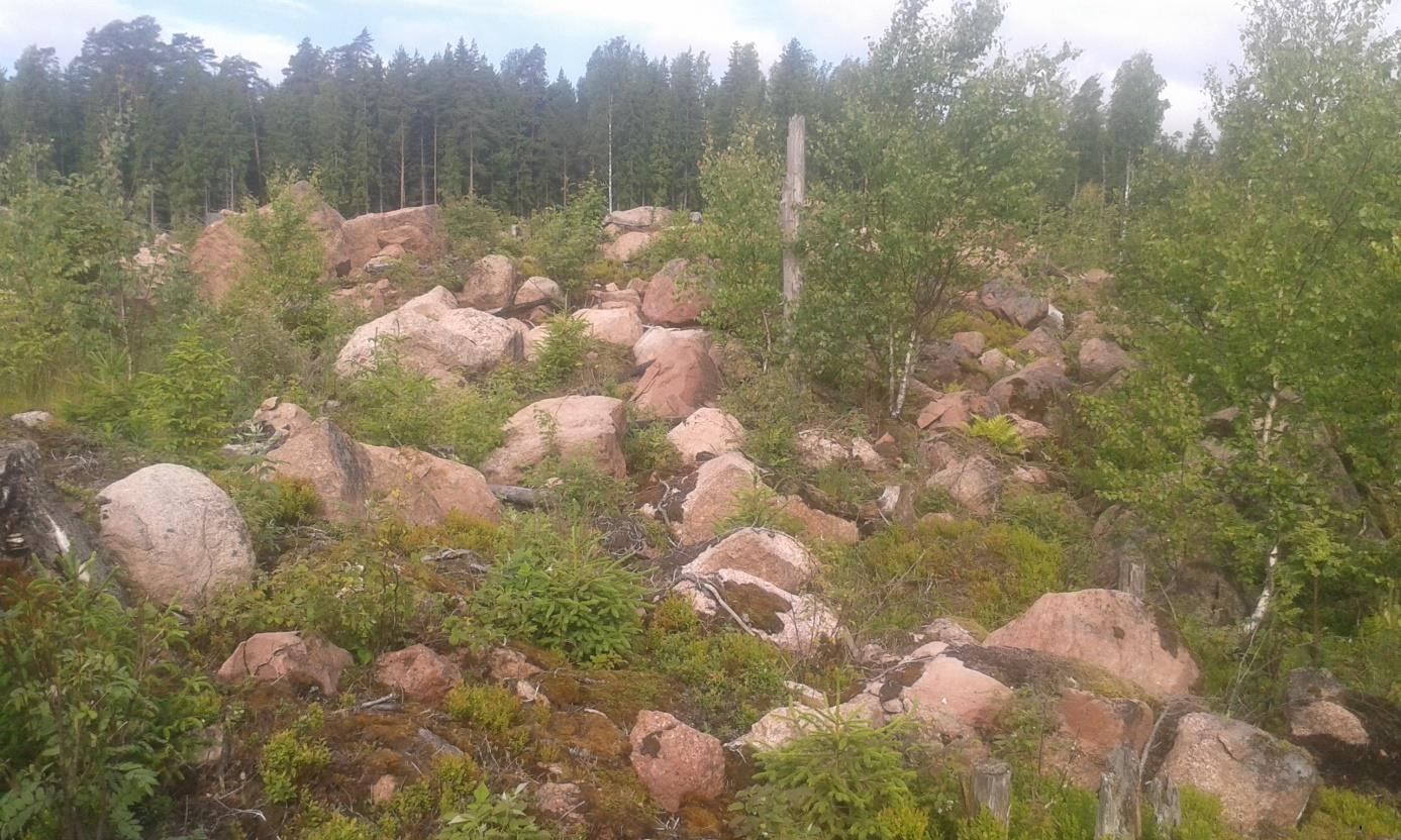 (Lindqvist) Bild 25