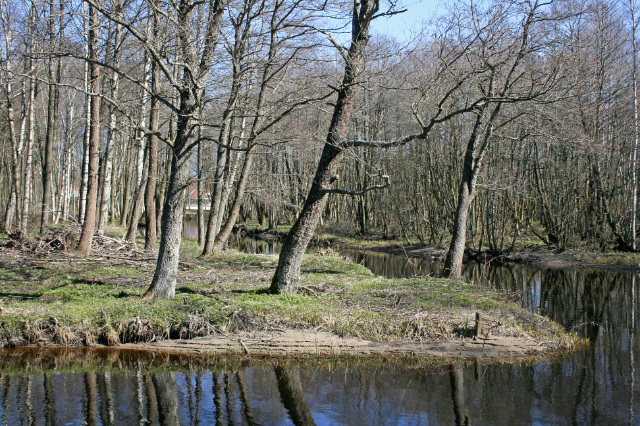 5 Fig. 2.