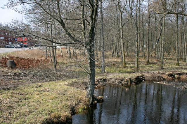 6 Fig 3. Strandskog vid ån mellan Kyrk- och Stationsvägen i Landvetter. Foto: K.Ström 5. Översvämnings- och erosionsproblem i Landvetterdelen av Mölndalsån 5.1.