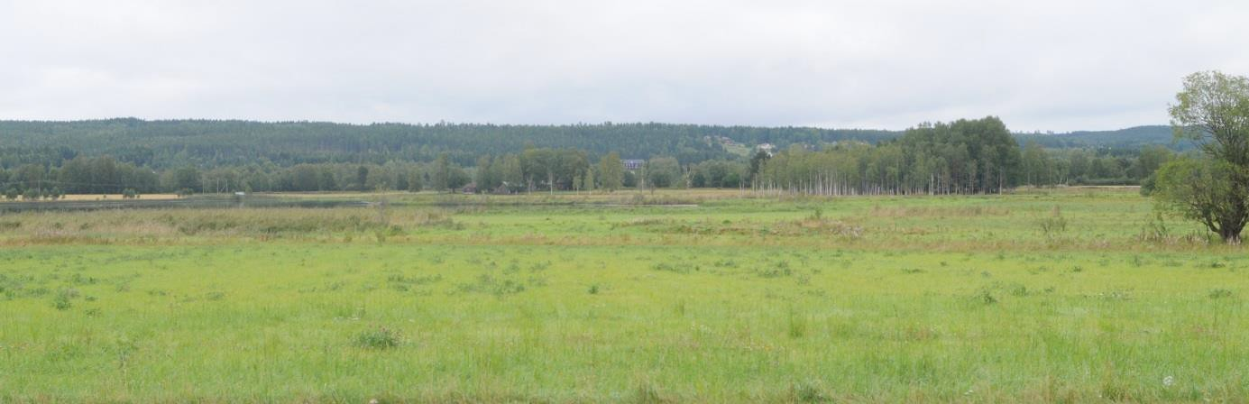 tenderar att växa igen. Skäggdopping och svarthakedopping med 1 par vardera. Änder med bl.a. skedand 2 par, bläsand 3 par, kricka 10 par, årta 1 par och vigg 4 par.