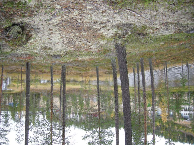 Rapport 2009:16 SÄRSKILD ARKEOLOGISK UTREDNING KÅBDALIS Inför utbyggnad av befintlig fjällanläggning i Kåbdalis, fastigheterna Kåbdalis 2:68,