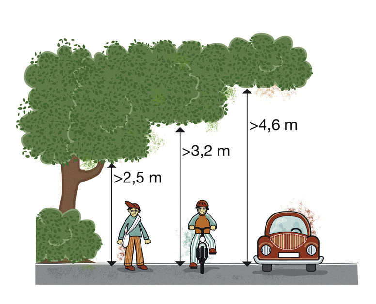 VI HAR DELAT ANSVAR Växjö kommun och du som fastighetsägare har ett gemensamt ansvar för trafiksäkerheten i våra bostadsområden.