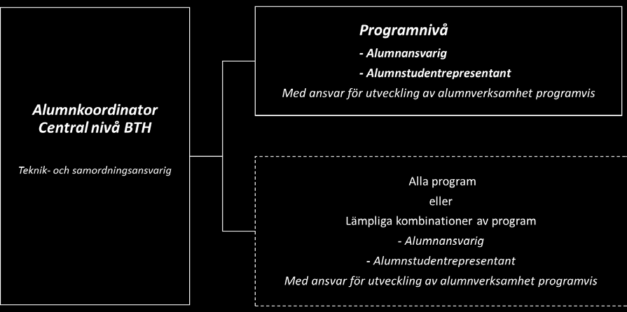 Alumnkoordinatorn har teknikansvar för databaser och relationsdatabas på BTH, samt samverkansansvar för personer och grupper relevanta för utveckling och processer för alumnverksamheten: Ansvarar för