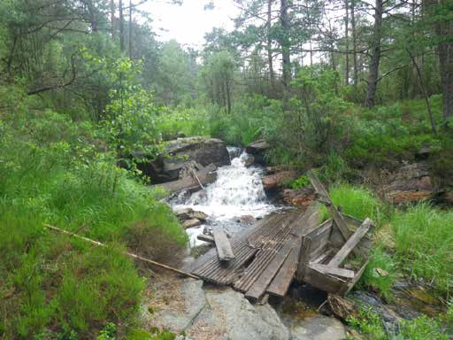 Vandringshinder 10 Vandringshindret ligger cirka 90 meter uppströms hinder 9. Det är naturligt med en fallhöjd av 1,3 meter (Figur 101).