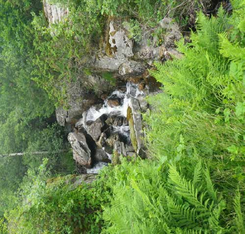 Vandringshinder 8 Vandringshindret ligger 40 meter uppströms vandringshinder 8. Hindret är tveksamt naturligt med en fallhöjd av 6 meter (Figur 99).