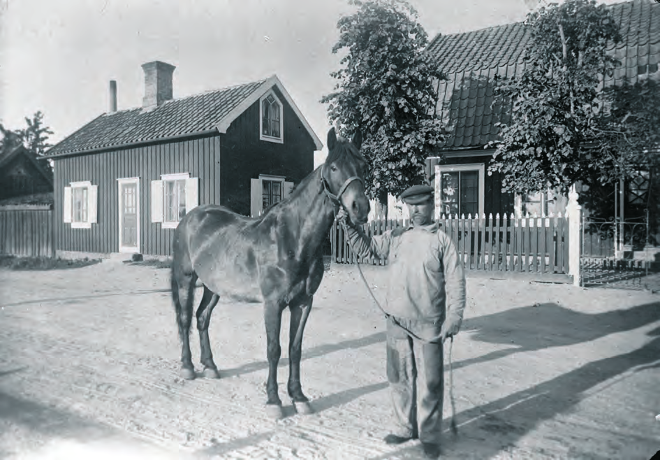 Åkare David Johansson år 1926 med häst stående på Norra vägen vid Spännarebacken.