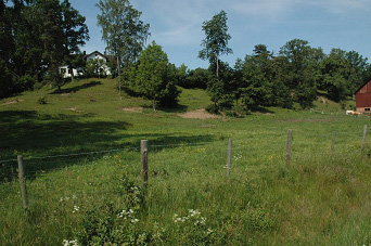 Metodik Metoden utgår från undersökningstypen i Naturvårdsverkets handledning för miljöövervakning (Bergman 2003).