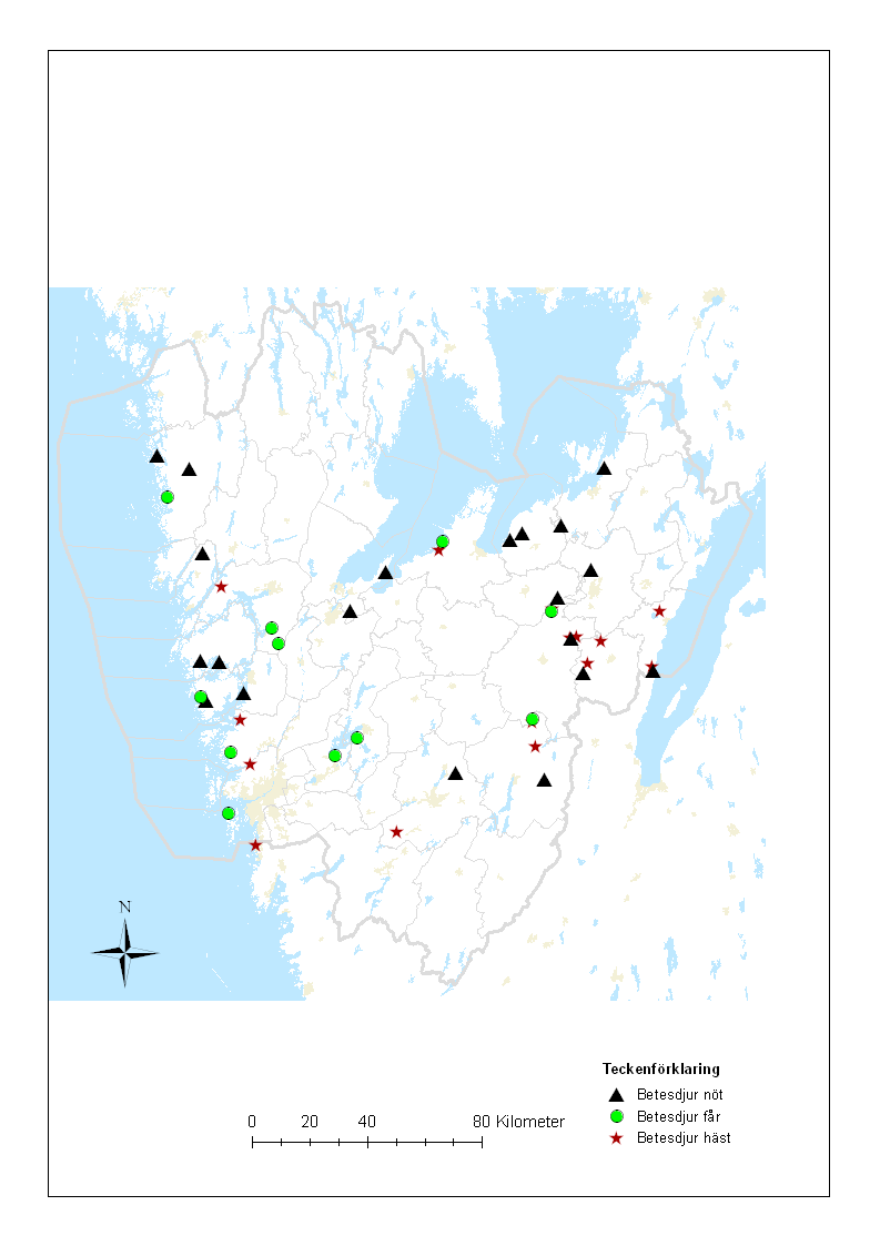 Lokaler Totalt valdes 46 lokaler ut (Fig. 2 och tabell 1 i bilaga 3). Av dessa betades 20 lokaler av nöt, 15 av häst och på 10 lokaler var det fårbete.