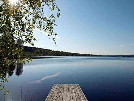 miljömål