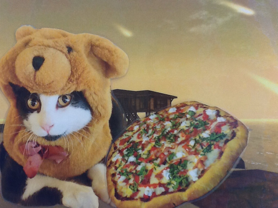 Superhjälten Pizzakatten kan kasta pizzor med jättestark