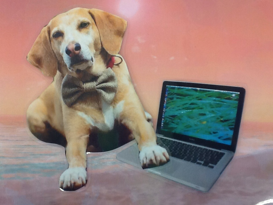 Superhjälten Datahunden är jättebra på datorer.