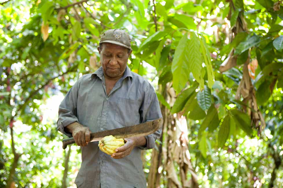 FAIRTRADE & EKOLOGISKT Efterfrågan på produkter som är ekologiskt odlade eller fairtradecertifierade har de senaste åren växt explosionsartat.