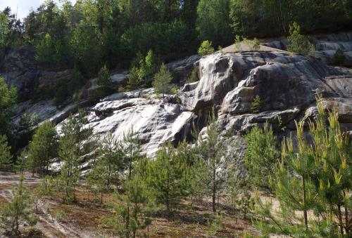 enstaka fibblor och rosetter av ängsvädd. Lokalen verkar mindre lämplig för fetörtsblåvinge på grund av sparsmakad vegetation.