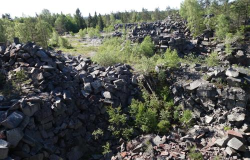 Sweref99: 6544792, 296130 Hällmarkstallskog med mycket berg i dagen, ej lämplig biotop. Inga kärleksörter och mycket sparsamt med nektarväxter. Svingelgräsfjäril noterades.