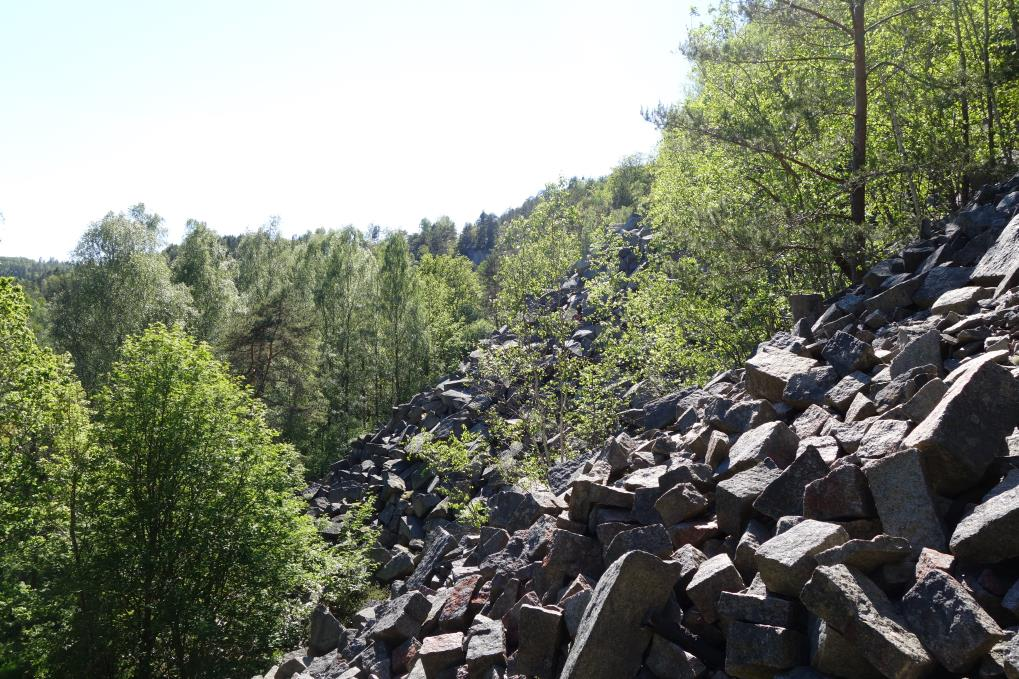 24 Ovanför bergsbranten Sweref99 : 6546218, 294653 Längs bohusleden vid Björneröd noterades två flygande adulta fjärilar.