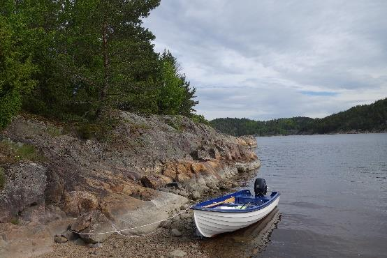 Bakgrund Fetörtsblåvinge, Scolitantides orion, är en blåvingeart som förekommer i solvarma, öppna, gärna sydvända, hällmarksmiljöer.