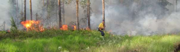Helikopter med en 600 liters balja Att ha en helikopter på plats och i beredskap är en bra säkerhet. Inom någon minut så är den i luften och snabbt kan medverka i arbetet.
