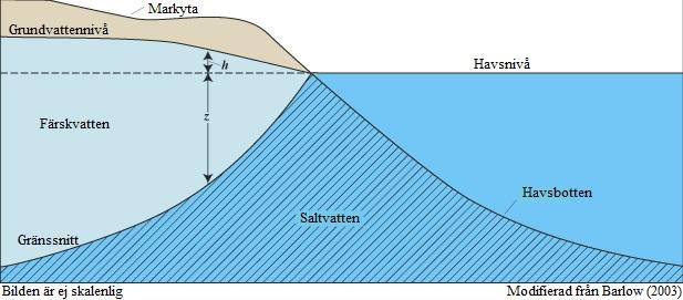 3 - Litteraturstudie 3.1 - Saltvatteninträngning Salt grundvatten innehåller en större mängd lösta mineral än färskvatten och har därför högre densitet (Fetter, 2001, s331-337).