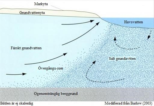 z = djupet på sötvattenreserven under havsnivån h = grundvattennivåns höjd över havet Mellan det salta och det färska grundvattnet bildas en övergångszon av bräckt vatten (Reilly & Goodman, 1985;