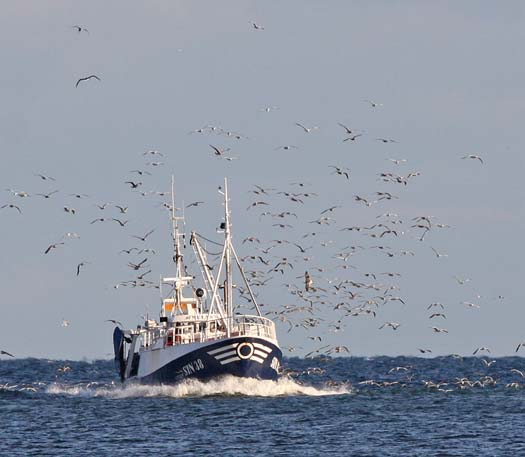 Sydkustens Fiskeområde Stödprogram med syftet att skapa en hållbar tillväxt och utveckling i fiskerinäringen/marina sektorn.