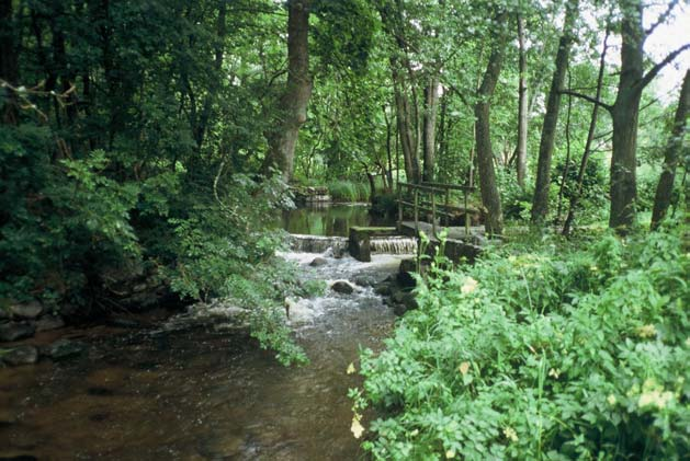 2003-2007 Miljö och hälsa Lars