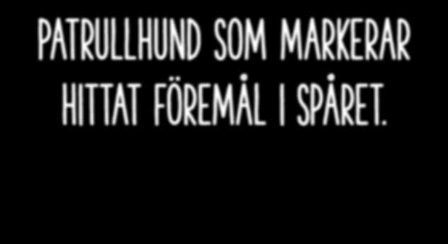 Många känner den lokala brukshundklubben främs som e sälle där man går valpkurs, lär hunden allmän uppförande, ränar rallylydnad eller ävlar i exempelvis spår.