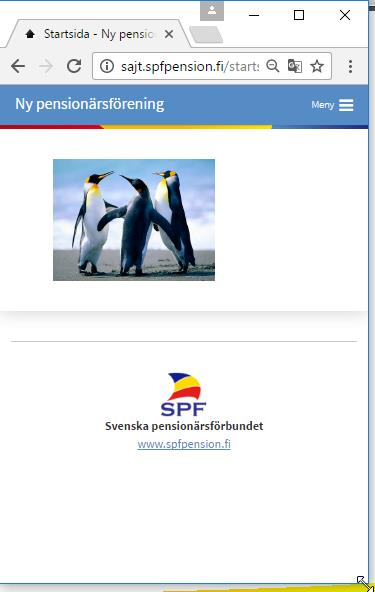 16 Testa på både dator, platta och telefon Sidorna är så kallade responsiva sidor, som anpassa till skärmens storlek oberoende om det är dator, platta eller smarttelefon Som webbansvarig är det