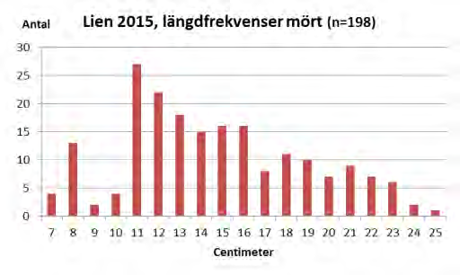 Tabell 6.1.1. Provfiskeresultat från Lien 2015, 40 nätnätter.