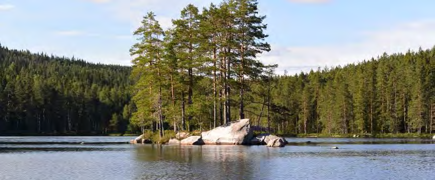 6.2 Lilla och Stora Håltjärnen Lilla och Stora Håltjärnen ligger i Hedströmmens avrinningsområde. Sjöarna ingår i ett Natura 2000 område. De ligger även inom Sveaskogs Ekopark Malingsbo.