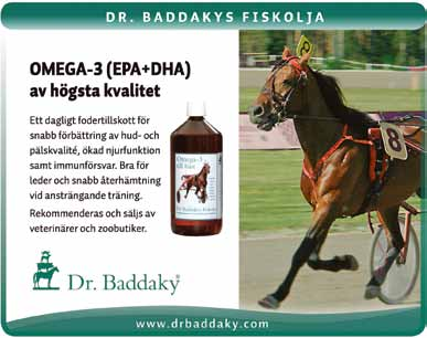 : b Dr. Baddakys Fiskolja.00 -.000 kr. 0 m. Autostart. Pris: 0.000-.00-.00-.0-.00-.00(.00) kr. Hederspris till segrande hästs ägare och körsven. Dr. Baddakys hederspris till segrande hästs tränare.