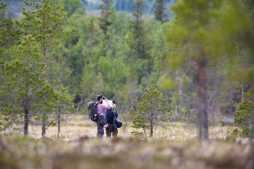 Fåglar i Jämtland-Härjedalen Årgång