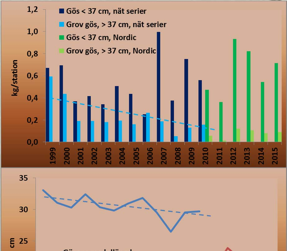 Indikatorer för nyckelarten gös Biomassan eller vikten hos gös totalt sett har inte minskat över tid i nät serierna.
