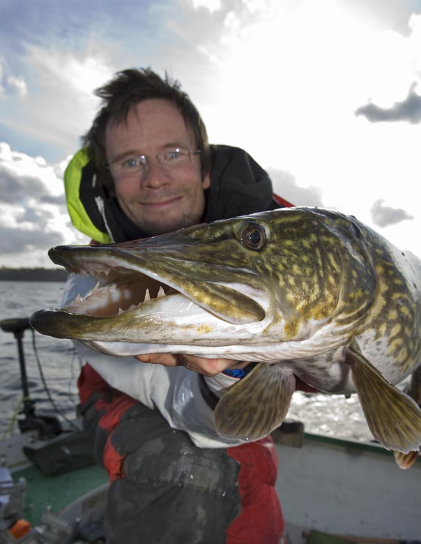 Artikelförfattaren med en releasetackelfångad storgädda. 124 cm lång och 16,05 kg tung.