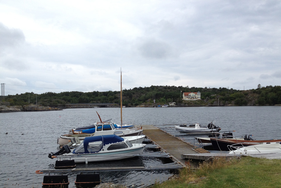 anser att stillheten som