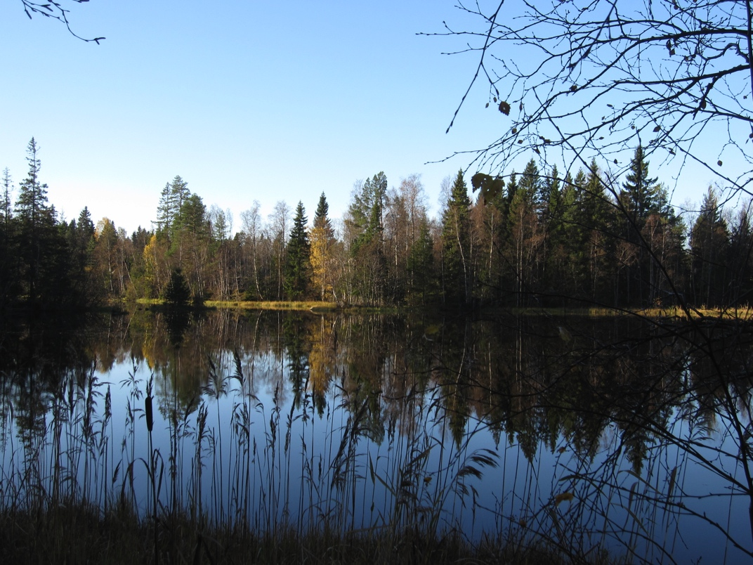 7 3.2. Vekasund Stråkan Befintlig stig finns från Vekasund längs med östra sidan av Strömsund ända till mitten av Skatasund. Härifrån bör delvis ny stig röjas fram till mynningen av Stråkan.