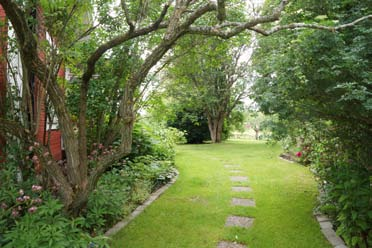 Lördag 1 juli Resa till Bovallen, Västerfärnebo, Sätra Brunn, Per Persgården, Salbohed. Bovallen. Trädgården som omger vår gamla släktgård, har anor tillbaka till 1860-talet, då gården flyttades till nuvarande position.
