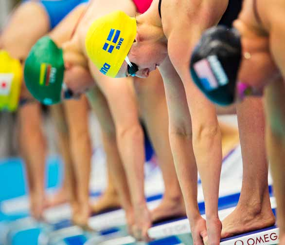 Swedish Delegation Media Guide 11th FINA World Swimming Championships Istanbul, December