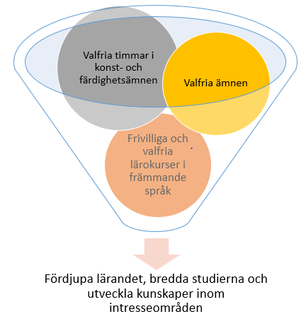 KAPITEL 12 VALFRIHET I GRUNDLÄGGANDE UTBILDNING Det allmänna målet för de valfria studierna är att fördjupa lärandet, bredda studierna och förbättra förutsättningarna för fortsatta studier.