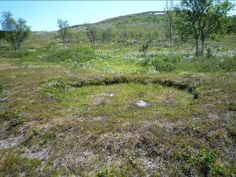 Junkarälven Kort beskrivning Vid Junkarälven ligger två mycket tydliga stalotomter. I närheten finns flera härdar, boplatsgropar och en förvaringsanläggning som är delvis täckt av stenhällar.