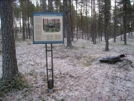Rackträsk - Dellávrre Kort beskrivning På en lavrik tallhed mellan sjöarna Rackträsk och Dellávrre (Dellaure) ligger ett 60-tal samiska härdar samt några kokgropar och ett fångstgropssystem.