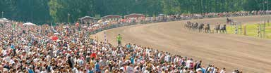 För bokning och info: Magnus Rundgren, Am Bloodstock, tel 00-, 0- eller Peter Björnsson, Alebäcks Stuteri tel 00-0, 00-0. För mer information besök www.ambloodstock.