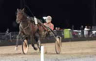HALMSTAD ISABELLE SÅNNA 0:, M Tot: 0-0-0 00,svbr.s.e Dream Vacation - : 0-0-0,.00 : 0-0-0,.00 Satisfied Hornline e Lindy's Crown Cra Ch Å /- /0, cc 0' Uppf.