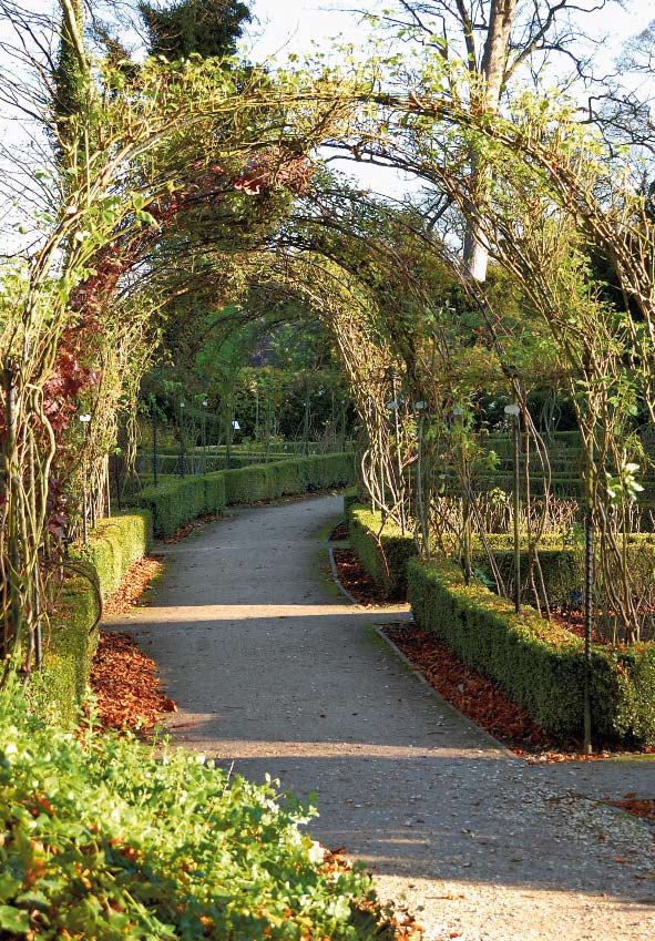» Huset göms bakom stora städsegröna buskar och träd«cederträden på Brodsworth Hall lär vara 250 år gamla.