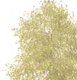 bropelare ljussätts Pampaslänken krossmaterial gräsytor gc-väg 5,5 m krossmaterial SEKTION I-i, GÅNG- OCH CYKELSTRÅK SKALA